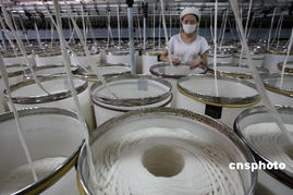 中國紡織業(yè)供應(yīng)鏈將由低端向高端發(fā)展